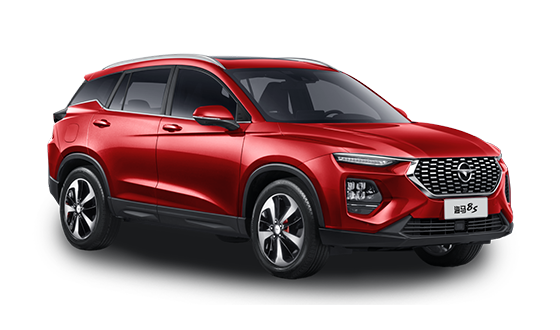 Haima 8S